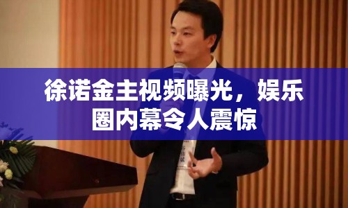 徐諾金主視頻曝光，娛樂(lè)圈內(nèi)幕令人震驚