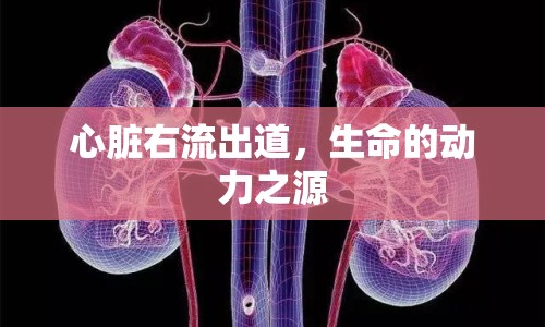 心臟右流出道，生命的動力之源