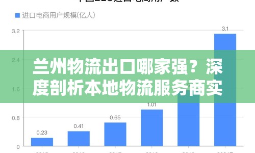 蘭州物流出口哪家強(qiáng)？深度剖析本地物流服務(wù)商實力與優(yōu)勢