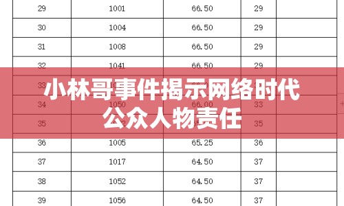 小林哥事件揭示網(wǎng)絡(luò)時(shí)代公眾人物責(zé)任