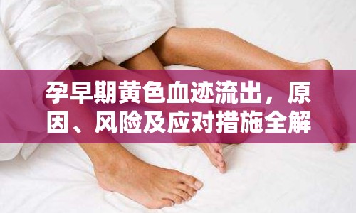 孕早期黃色血跡流出，原因、風(fēng)險(xiǎn)及應(yīng)對(duì)措施全解析