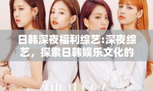 日韓深夜福利綜藝:深夜綜藝，探索日韓娛樂(lè)文化的獨(dú)特魅力