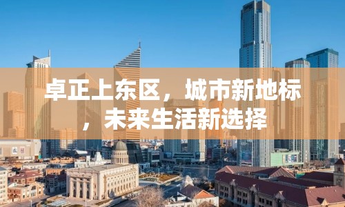卓正上東區(qū)，城市新地標(biāo)，未來生活新選擇