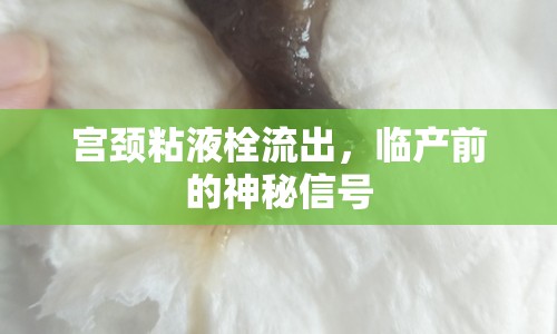 宮頸粘液栓流出，臨產(chǎn)前的神秘信號(hào)