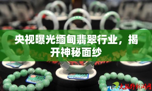 央視曝光緬甸翡翠行業(yè)，揭開(kāi)神秘面紗
