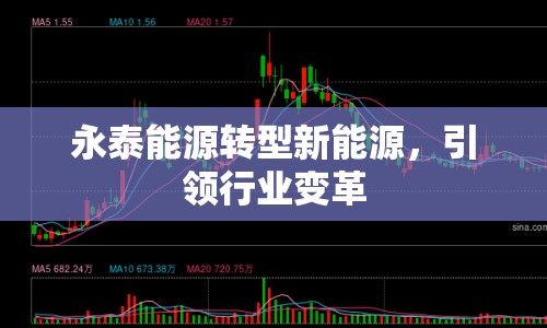 永泰能源轉(zhuǎn)型新能源，引領(lǐng)行業(yè)變革