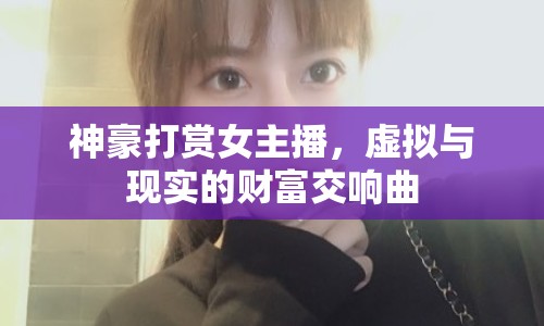 神豪打賞女主播，虛擬與現(xiàn)實(shí)的財(cái)富交響曲