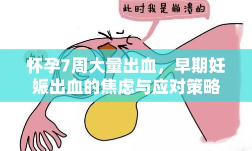 懷孕7周大量出血，早期妊娠出血的焦慮與應(yīng)對策略