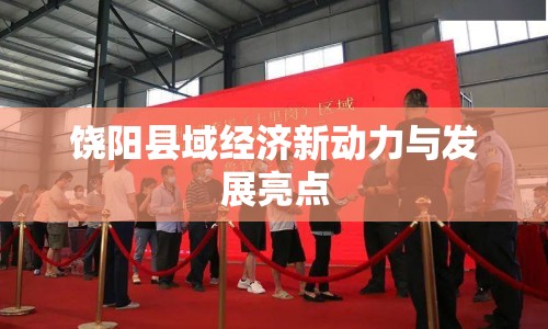 饒陽(yáng)縣域經(jīng)濟(jì)新動(dòng)力與發(fā)展亮點(diǎn)