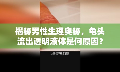 揭秘男性生理奧秘，龜頭流出透明液體是何原因？