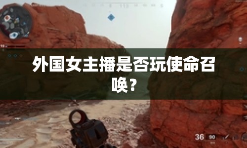 外國女主播是否玩使命召喚？