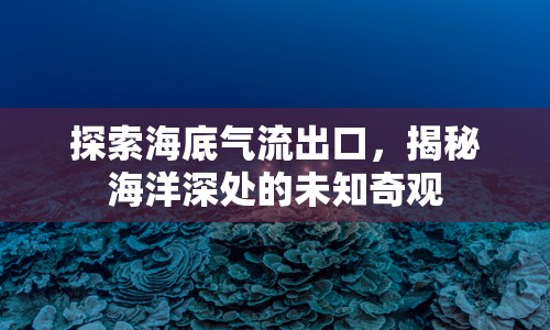 探索海底氣流出口，揭秘海洋深處的未知奇觀