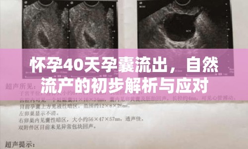 懷孕40天孕囊流出，自然流產(chǎn)的初步解析與應(yīng)對(duì)