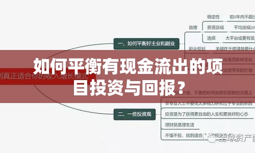 如何平衡有現(xiàn)金流出的項(xiàng)目投資與回報(bào)？