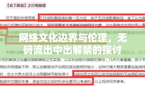 網(wǎng)絡(luò)文化邊界與倫理，無碼流出中出解禁的探討