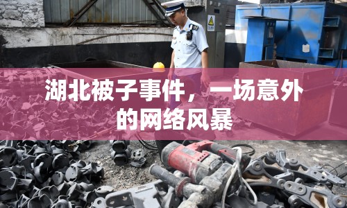 湖北被子事件，一場(chǎng)意外的網(wǎng)絡(luò)風(fēng)暴