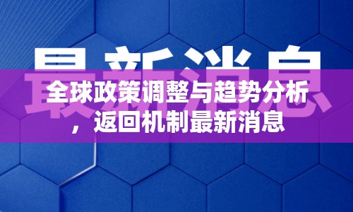 全球政策調(diào)整與趨勢分析，返回機(jī)制最新消息