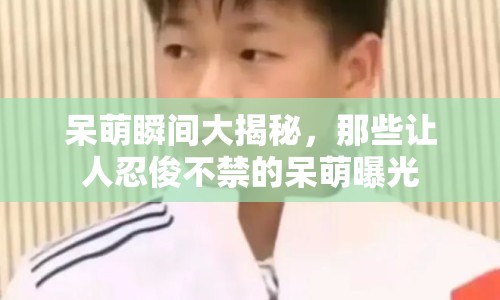 呆萌瞬間大揭秘，那些讓人忍俊不禁的呆萌曝光