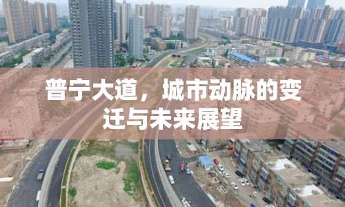 普寧大道，城市動(dòng)脈的變遷與未來(lái)展望