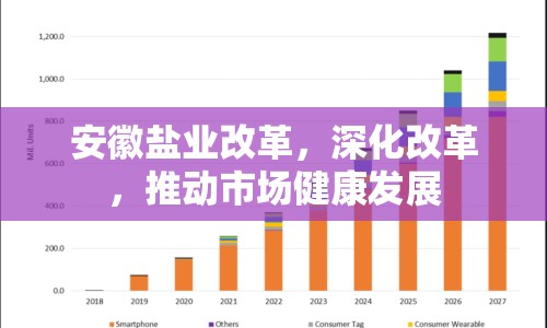 安徽鹽業(yè)改革，深化改革，推動市場健康發(fā)展