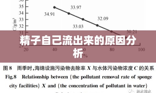 精子自己流出來的原因分析