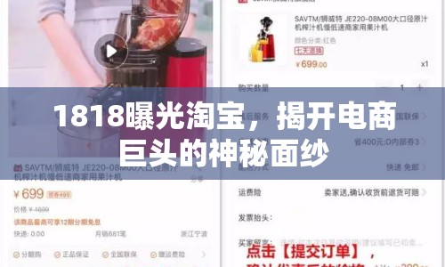 1818曝光淘寶，揭開電商巨頭的神秘面紗
