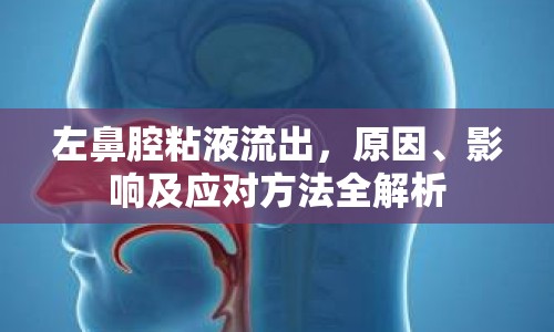 左鼻腔粘液流出，原因、影響及應(yīng)對方法全解析