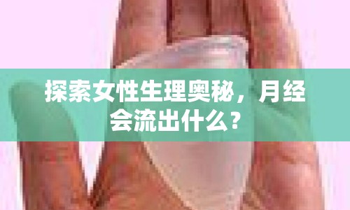 探索女性生理奧秘，月經(jīng)會流出什么？