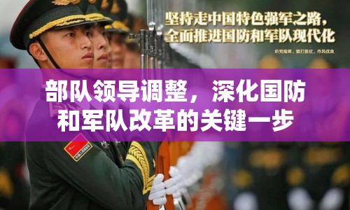 部隊(duì)領(lǐng)導(dǎo)調(diào)整，深化國(guó)防和軍隊(duì)改革的關(guān)鍵一步