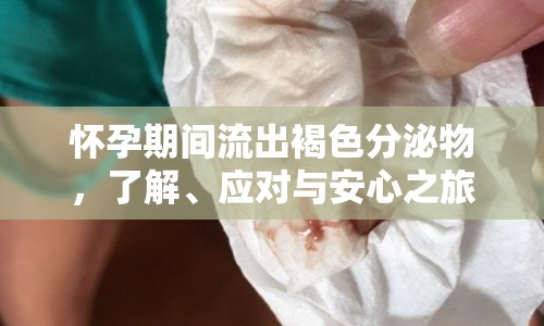懷孕期間流出褐色分泌物，了解、應(yīng)對與安心之旅