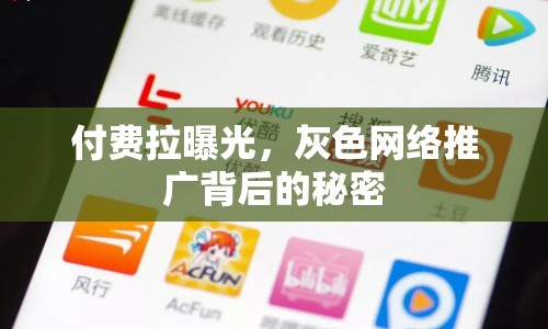 付費拉曝光，灰色網(wǎng)絡(luò)推廣背后的秘密