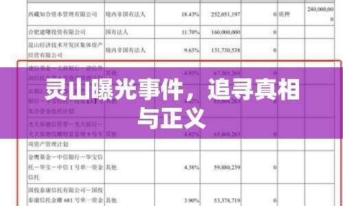靈山曝光事件，追尋真相與正義