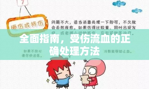 全面指南，受傷流血的正確處理方法
