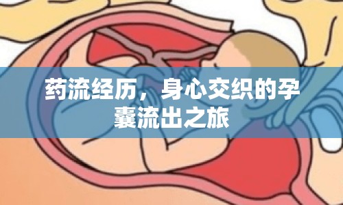 藥流經(jīng)歷，身心交織的孕囊流出之旅