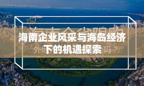 海南企業(yè)風(fēng)采與海島經(jīng)濟(jì)下的機(jī)遇探索