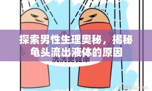 探索男性生理奧秘，揭秘龜頭流出液體的原因