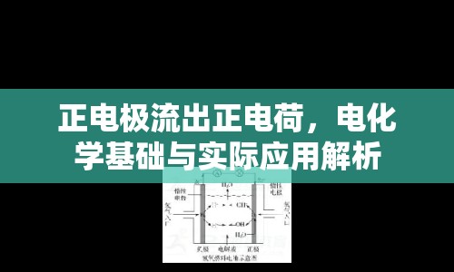 正電極流出正電荷，電化學(xué)基礎(chǔ)與實(shí)際應(yīng)用解析
