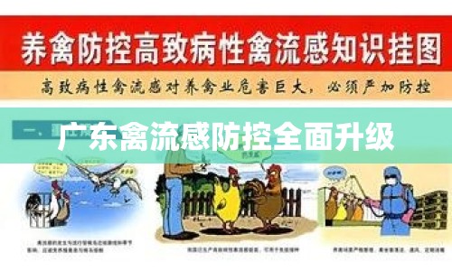 廣東禽流感防控全面升級(jí)