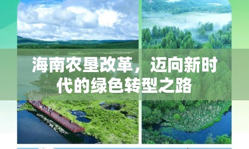 海南農(nóng)墾改革，邁向新時代的綠色轉(zhuǎn)型之路