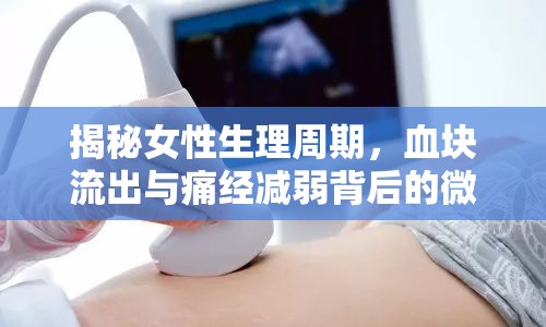 揭秘女性生理周期，血塊流出與痛經(jīng)減弱背后的微妙變化