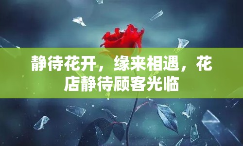 靜待花開(kāi)，緣來(lái)相遇，花店靜待顧客光臨