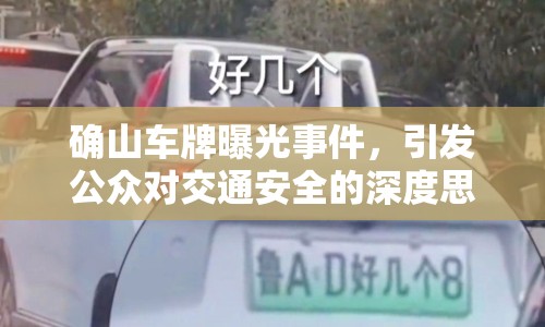 確山車牌曝光事件，引發(fā)公眾對交通安全的深度思考