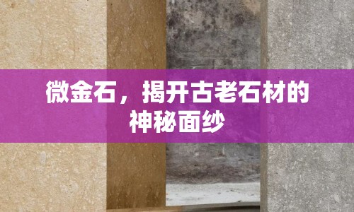 微金石，揭開(kāi)古老石材的神秘面紗