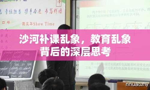 沙河補(bǔ)課亂象，教育亂象背后的深層思考