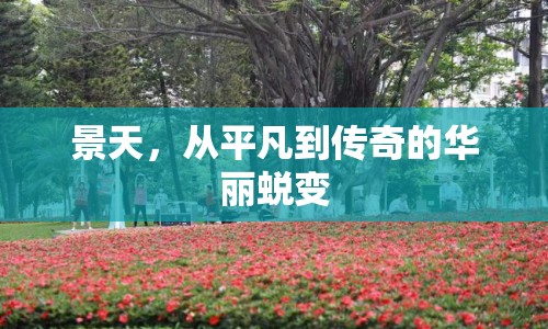 景天，從平凡到傳奇的華麗蛻變