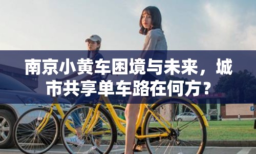 南京小黃車?yán)Ь撑c未來，城市共享單車路在何方？