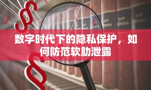 數(shù)字時代下的隱私保護，如何防范軟肋泄露