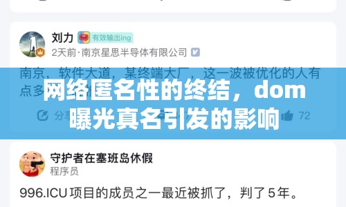 網(wǎng)絡匿名性的終結，dom曝光真名引發(fā)的影響