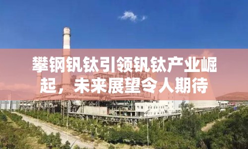 攀鋼釩鈦引領(lǐng)釩鈦產(chǎn)業(yè)崛起，未來展望令人期待