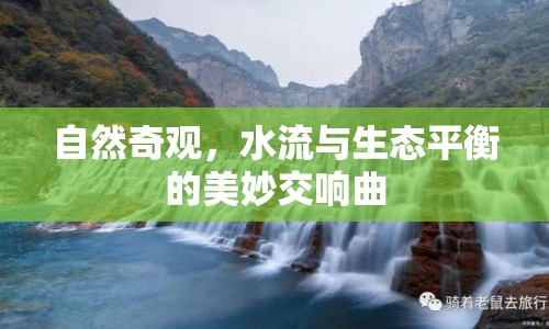 自然奇觀，水流與生態(tài)平衡的美妙交響曲